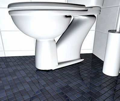 Día Mundial del Inodoro