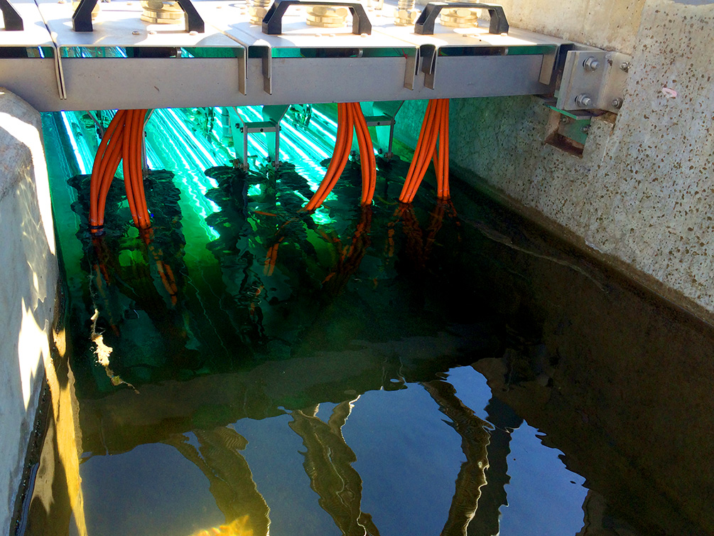 OSE es el organismo responsable del servicio de saneamiento por alcantarillado en todo el Uruguay con excepción de Montevideo, donde el servicio es competencia de la Intendencia Departamental