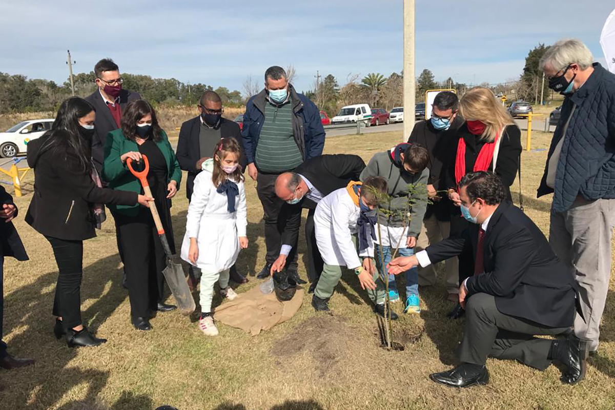 Plantación de uno de los 95 Ibirapitá que la diplomática se propuso plantar en todo el territorio uruguayo en homenaje a la Reina