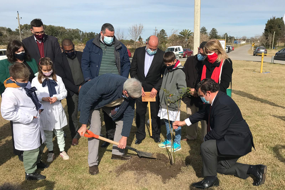 Alumnos de la Escuela Gran Bretaña del Municipio, elegidos por sus propios compañeros, participaron de la plantación del Ibirapitá