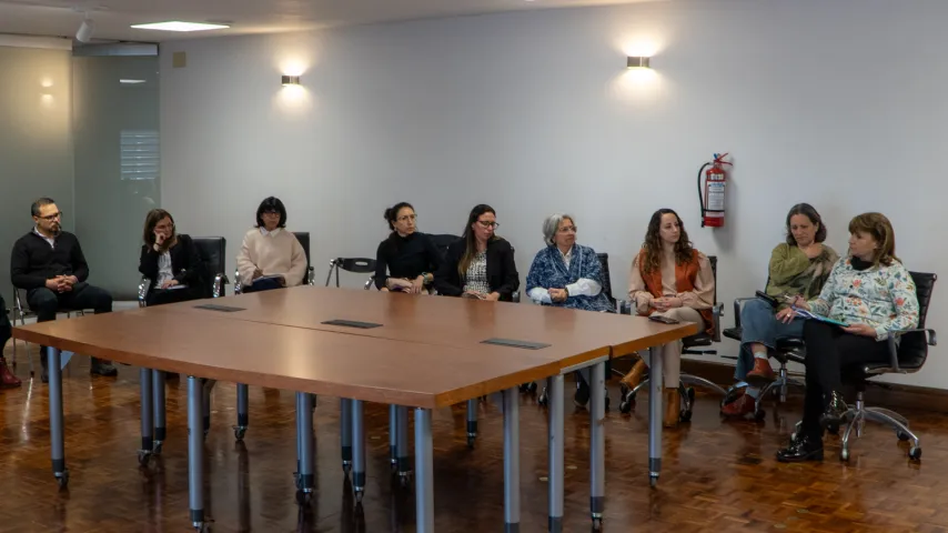 Presentación de cierre de consultoría sobre género