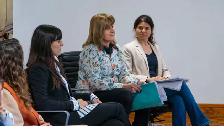 Presentación de cierre de consultoría sobre género