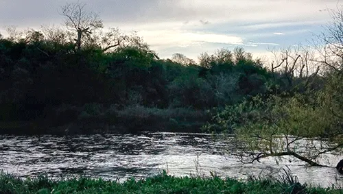  Cuidar el agua es cuidar el futuro 