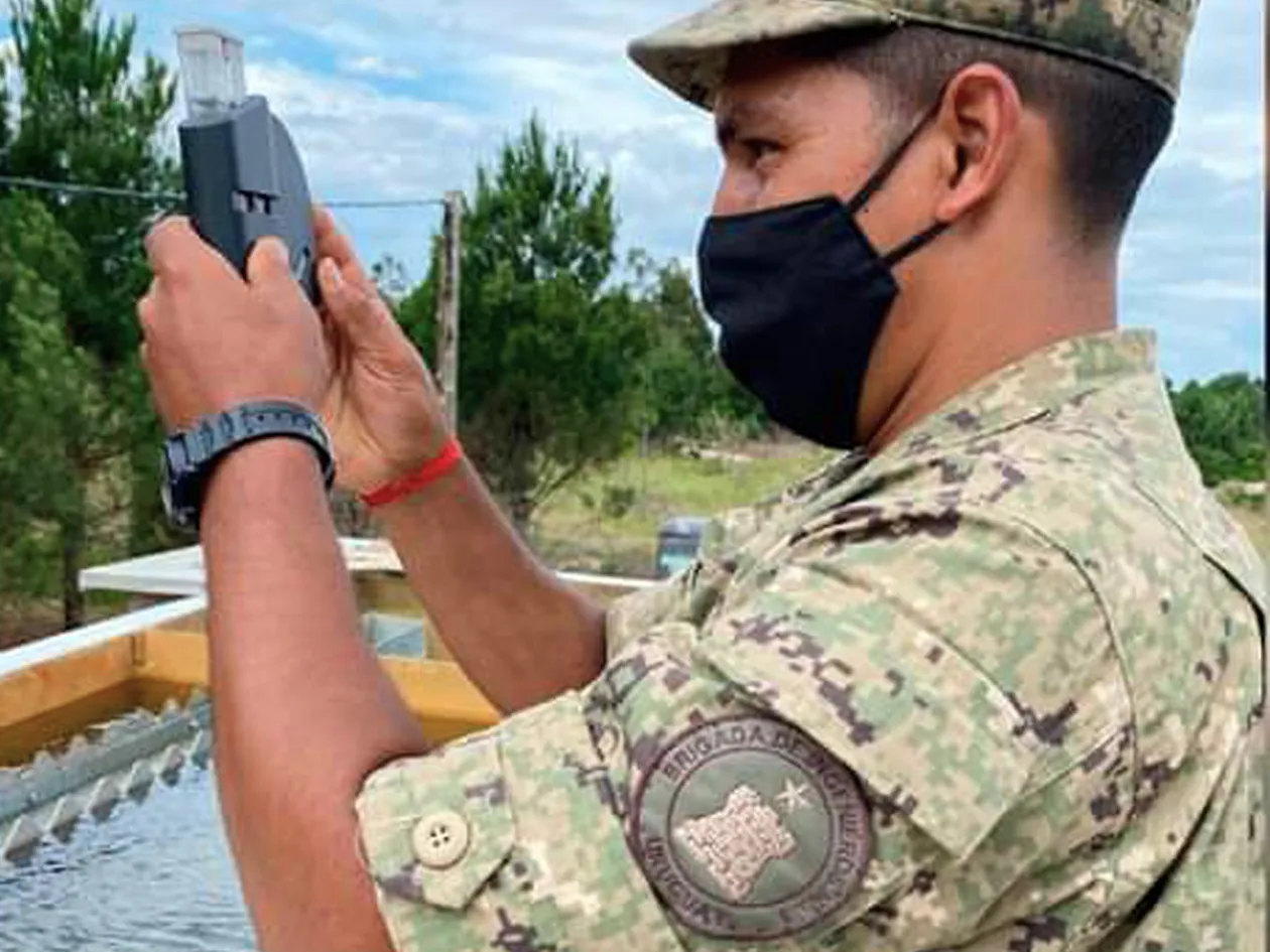 UPA del Ejército Nacional