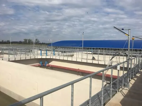 Nueva planta