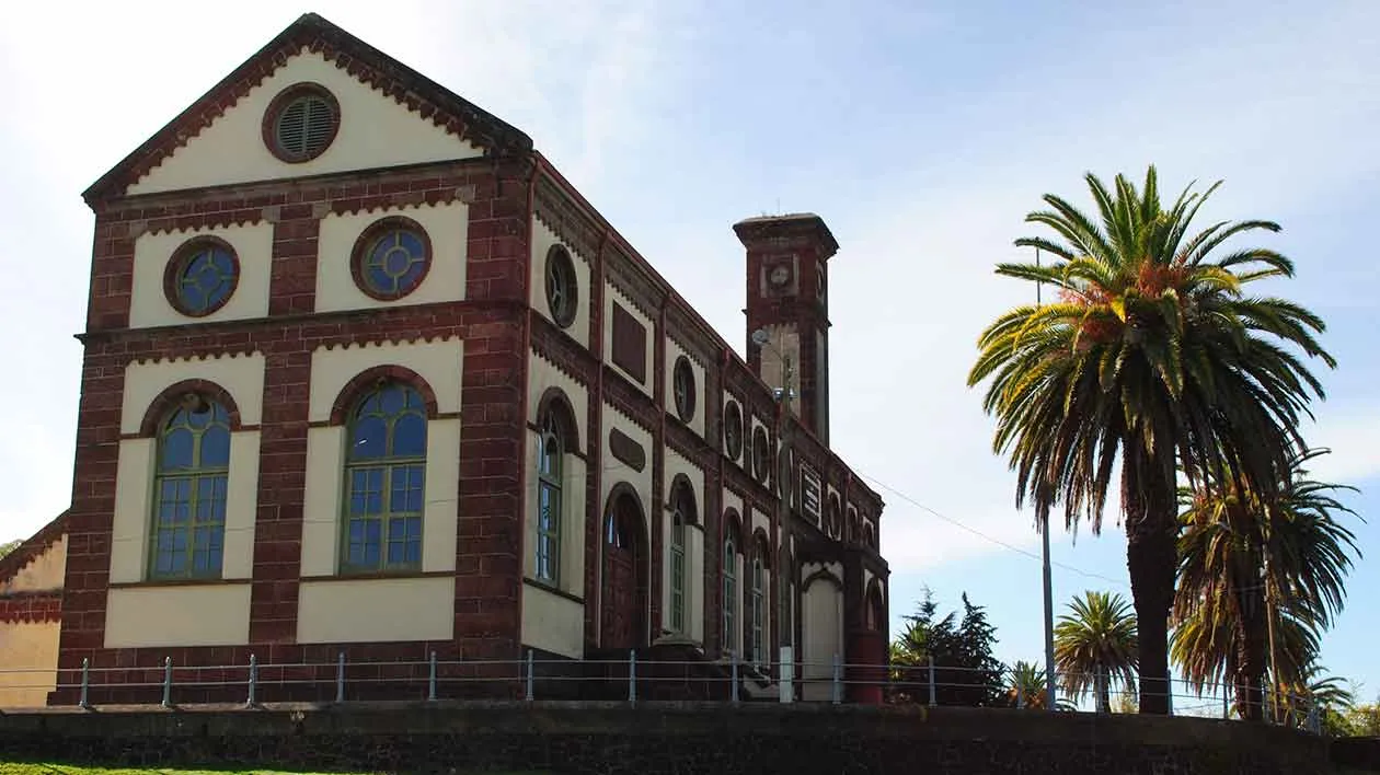 25 patrimonio
