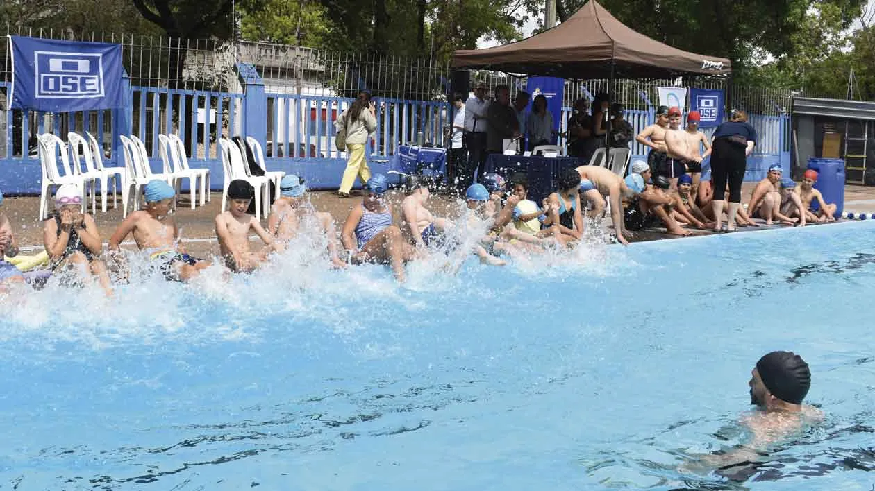 Programa de Verano