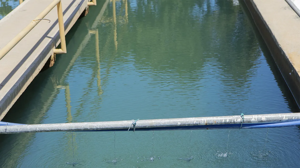 Mejoras en sistemas de agua potable