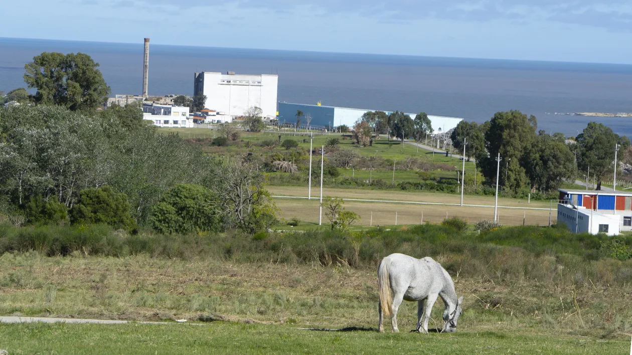 Vista Linda, Cerro
