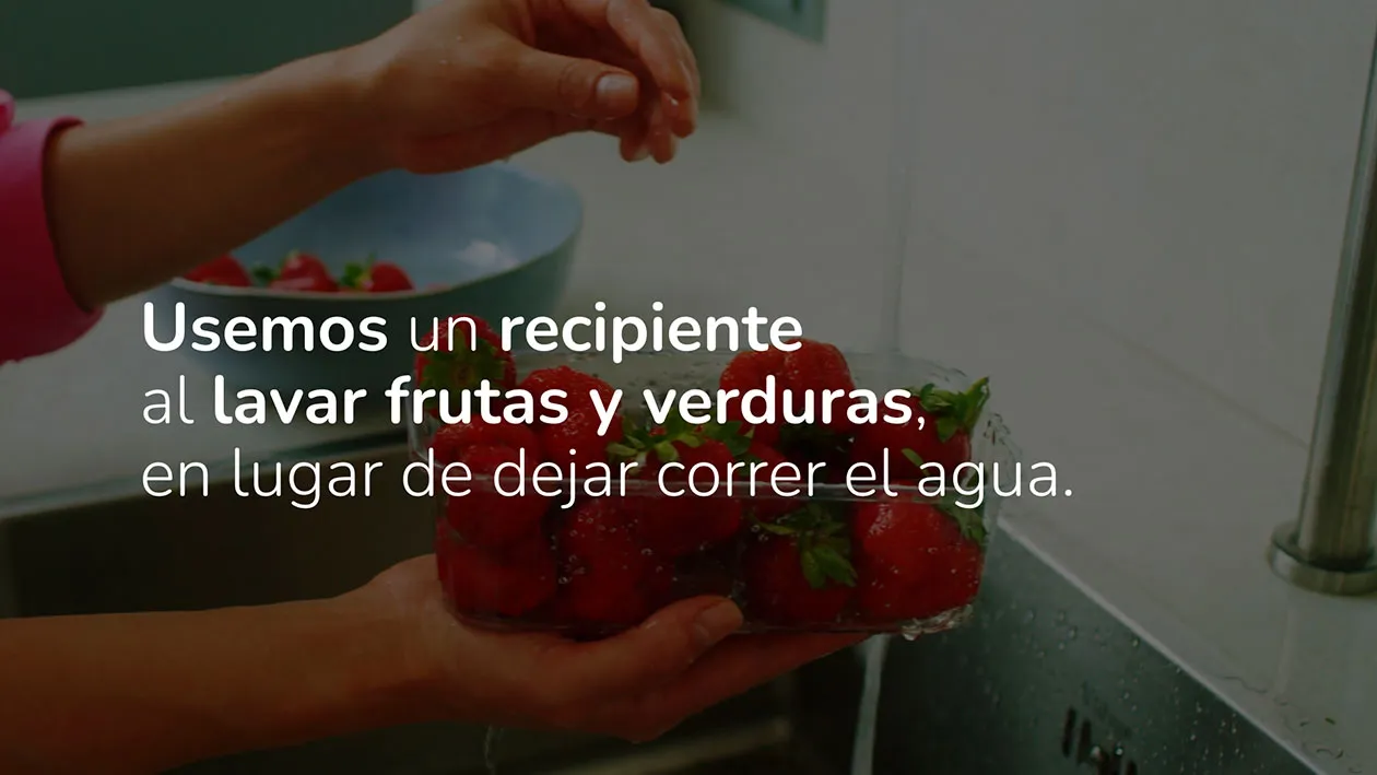 Cuidemos el agua